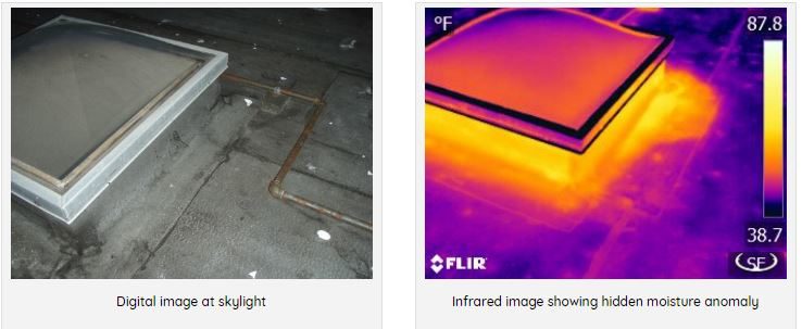 Sky Light Leak moisture comparison